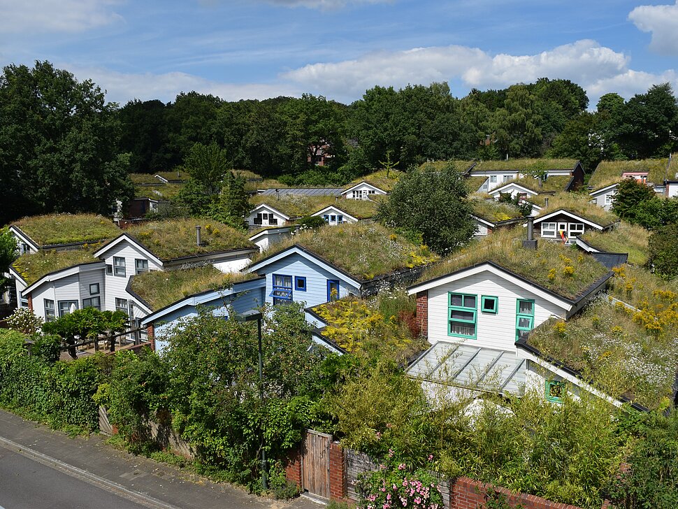 Begrünte Dächer.